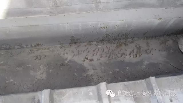 �Ϻ��s�ؽ����Ƽ�,���I�Ĳ�������ˮ,�����ˮ������������ˮ�S��