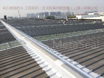 �Ϻ�ʥ���߹�������