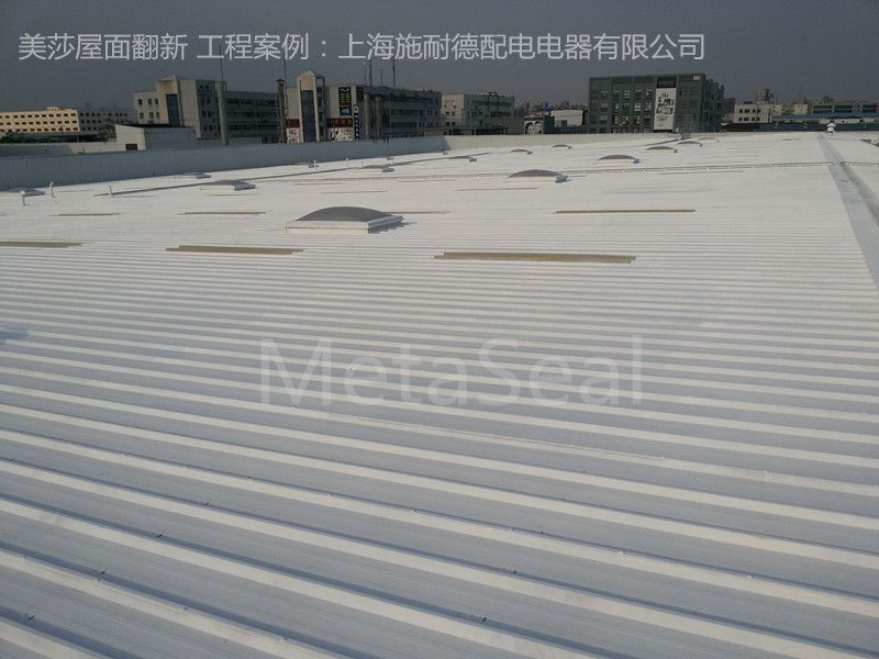 Schneiderʩ�͵����