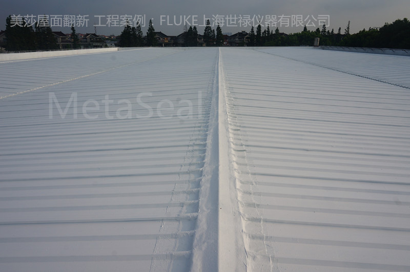 上海世祿儀器屋面翻新 (2).jpg