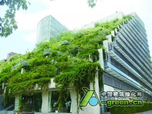 �ձ�����픷�ˮ���@