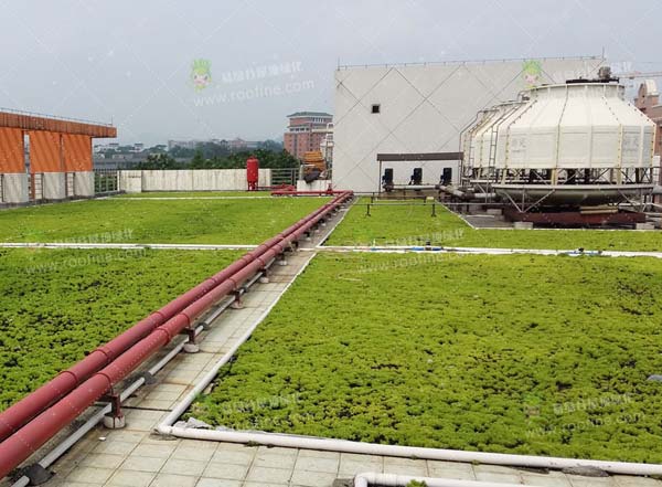 �\������