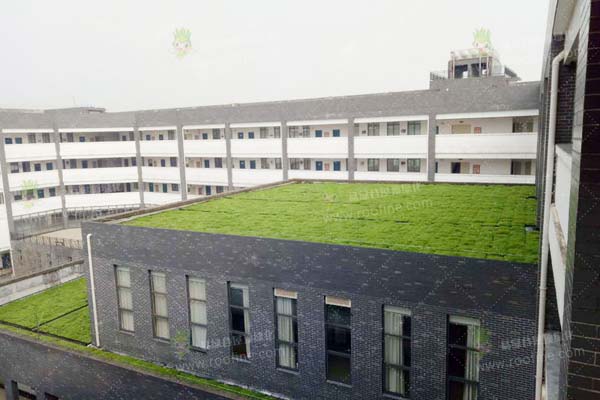 ���ϼ�����܇�I(y��)���g(sh��)�W(xu��)Ժ