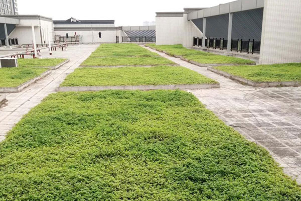 ���ݽ���