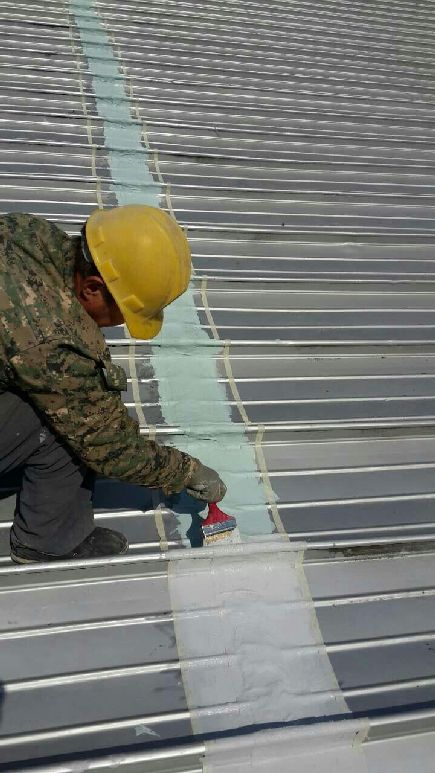 ���u�P���Ŀ