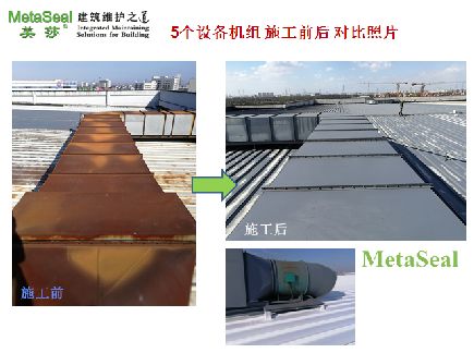 �O�����������Ƭ (3)