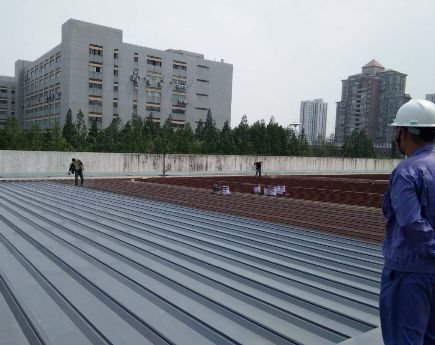 ���w��Ϳ��������