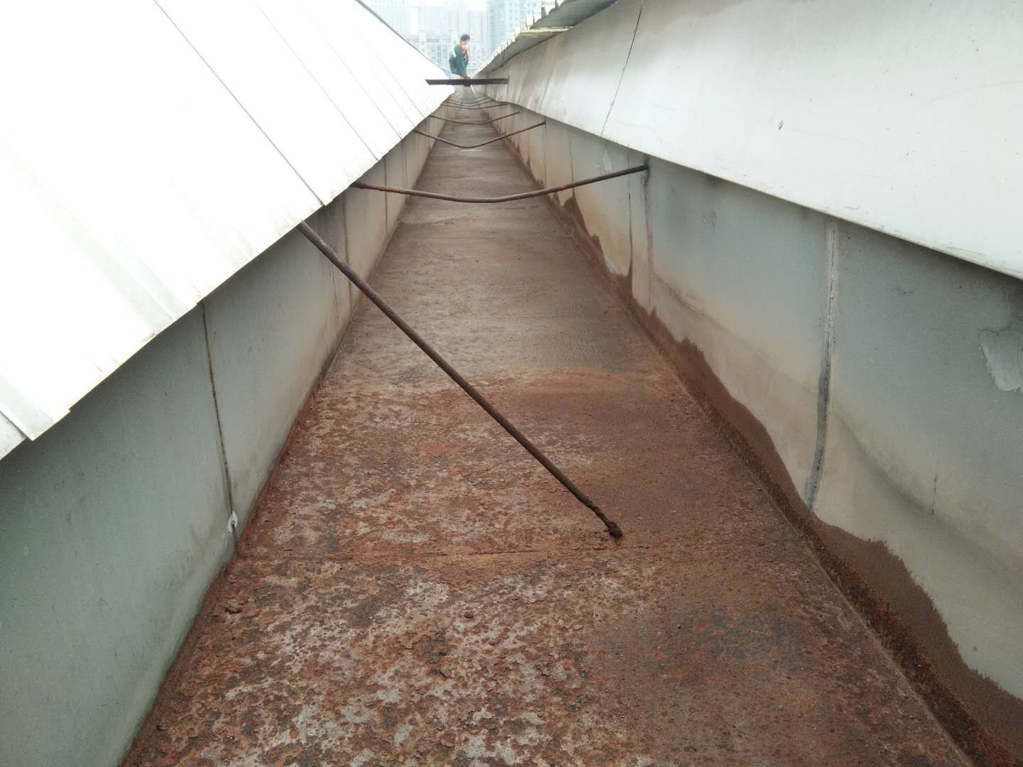 ��ϴ���ĥ���P