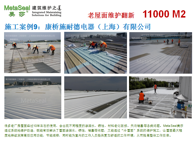 �Ϻ�ʩ�͵���� ���淭��