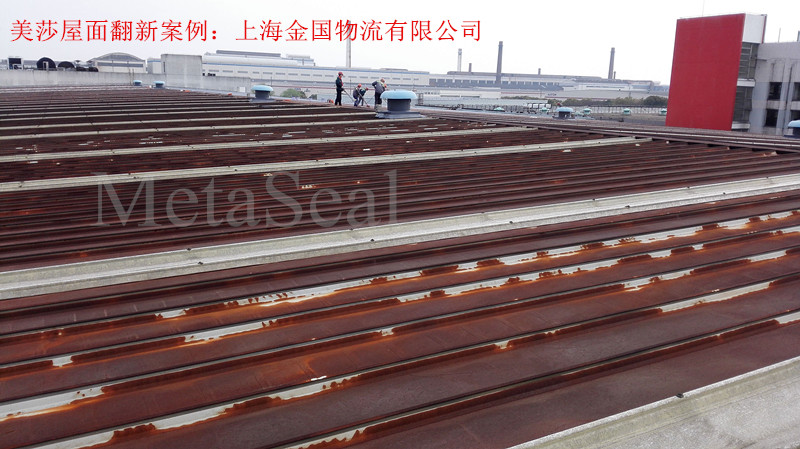 ������ľS�o(h��)���°�������