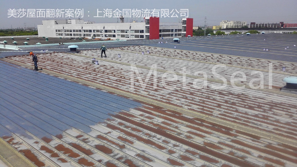 ��ĥ���P+��Ϳ��������