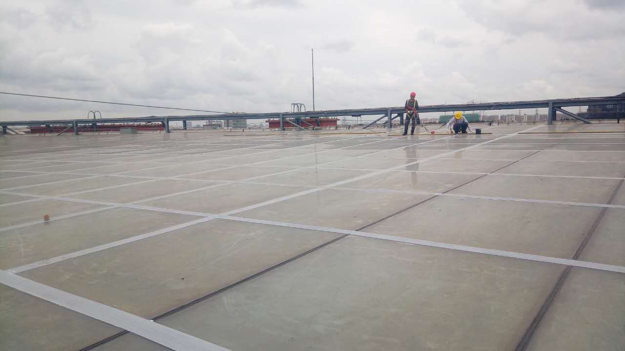 mmexport1504433907538.jpg mmexport1504433907538.jpg