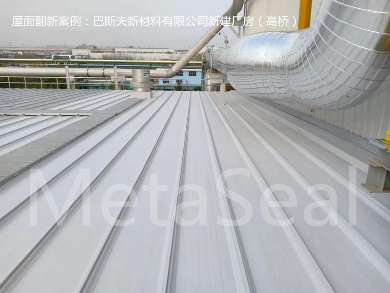 ��˹���²����½��S�����淭�� (4).jpg