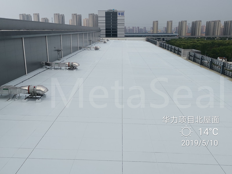 �A�����汱��Ϳ��