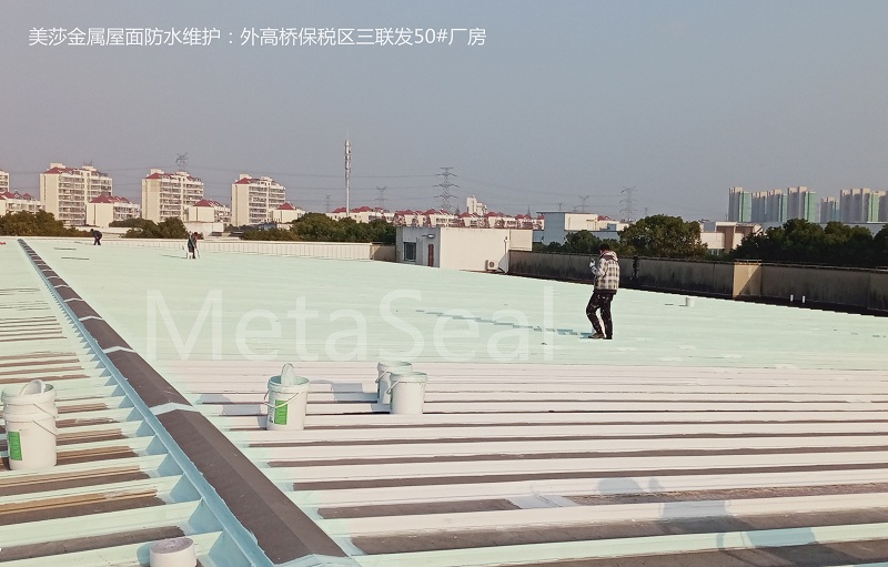 ���l21#�졢50#��