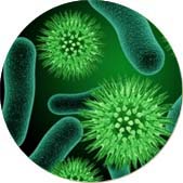 ��(zhu��n)�I(y��)������